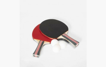 Partenariat Tabletennis11